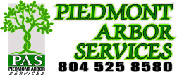 Piedmont Arbor Serives